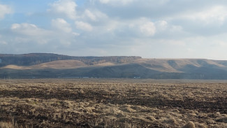 В самарском регионе прошёл первый молодёжный форум «Агродвиж»