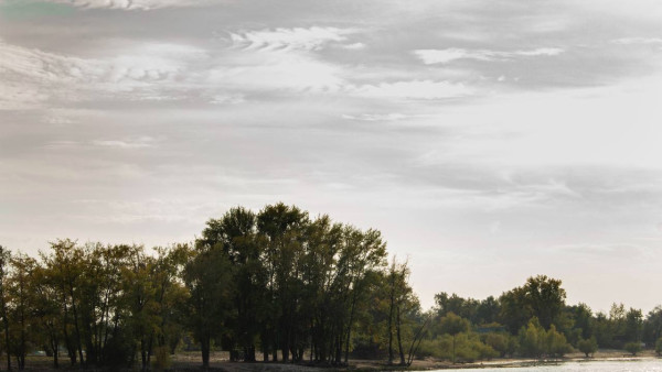 Оранжевый уровень опасности ввели в Самарской области до 20 сентября