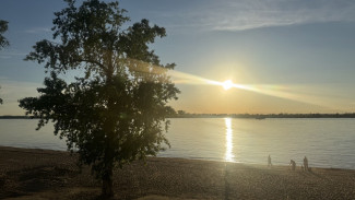 Волга кипит: у Сызрани вода прогрелась до +26 °C