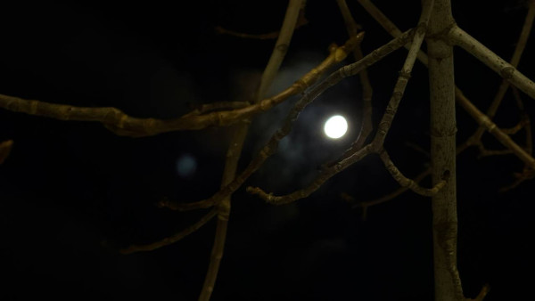 Самарскую область начала накрывать магнитная буря 5 февраля