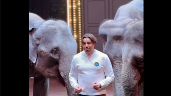 Дрессировщик раскрыл подробности побега слонихи Претти из самарского цирка