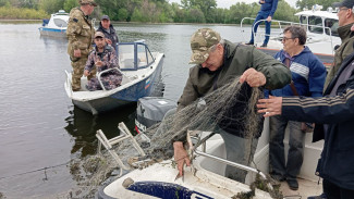 В Самаре прошел рейд против браконьеров