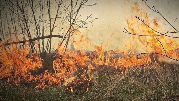 Пожар на острове Зелененький близ Самары охватил 3 гектара