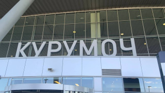 В Самаре иностранка незаконно хотела вывезти из России двух детей