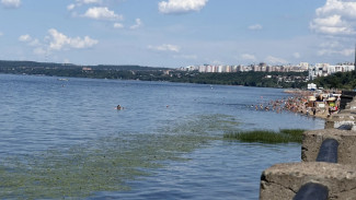 В Самаре Волга стала горячее и достигла оптимальной температуры для водных процедур