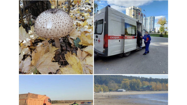 Стрельба на трассе, обмеление Волги и начало грибного сезона: чем запомнится 9 октября 2021 года в Самарской области