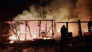 В Безенчукском районе Самарской области потушили горящую баню