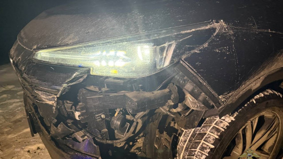 В Самарской области Changan сбил косулю