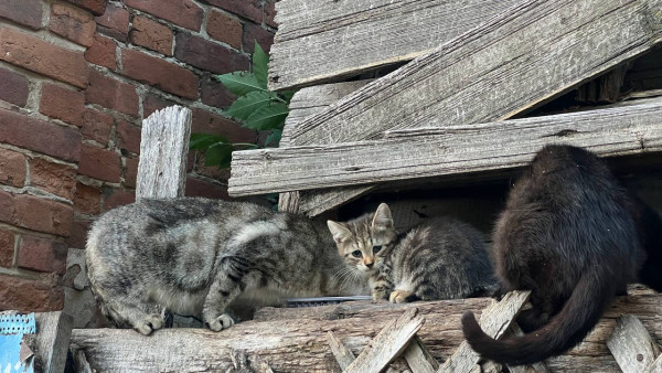 В Самаре снесут аварийные дома за 2,9 млн рублей