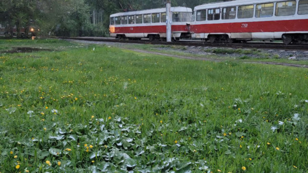 Стало известно, когда бабье лето накроет Самарскую область