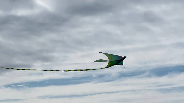 Грозы и шквалистый ветер: 22 мая станет опасным днём для Самарской области