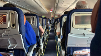 Лайнер, летевший из Сочи в Самару, экстренно сел в Минеральных Водах