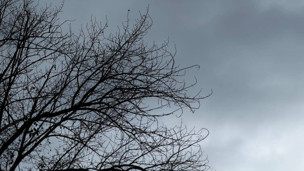 Хроника массовой атаки БПЛА на Самарскую область 5 декабря