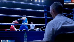 В Самаре проходит Всероссийский турнир по боксу на призы чемпиона мира Василия Шишова 