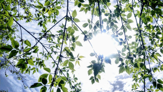 Синоптики рассказали, какими будут последние выходные марта 2026 в Самарской области