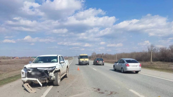 В Самарской области пикап насмерть сбил двух пони