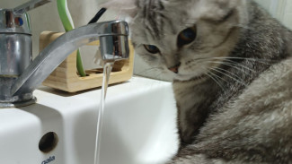 4 февраля плановые отключения холодной воды затронут несколько районов Самары