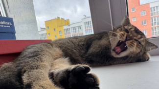 Самарцев ждут две серии длинных выходных