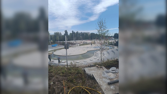 На центральной площади Тольятти высадили деревья и обустроили систему автополива
