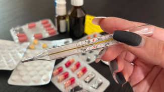 В Самарской области продолжает свирепствовать "гонконгский грипп"