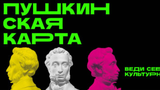 Двое жителей Самарской области украли 12 млн рублей на концертах по Пушкинской карте