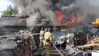 В самарском селе 4 часа тушили крестьянское подворье