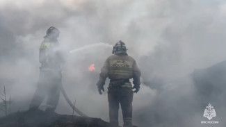 В Самарской области горит огромная свалка более 1000 квадратных метров 