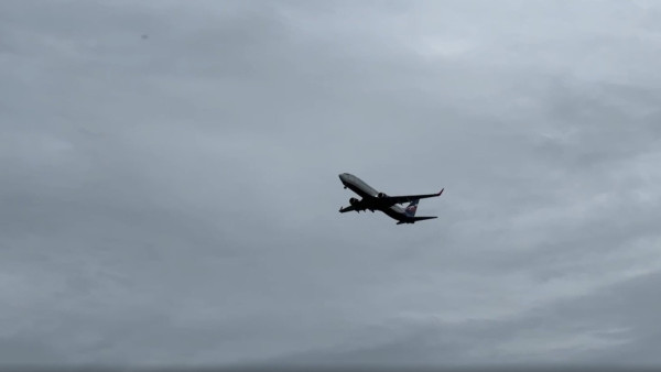 Самарские пассажиры могут столкнуться с проблемами из-за глобального сбоя в сервисной системе Аэрофлота 