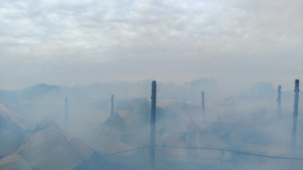 В Большечерниговском районе 40 животных погибли в сгоревших надворных постройках