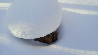 Циклон с Атлантики несет в Самарскую область сильные снегопады и оттепель до -1°C