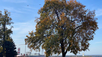 В Самару в начале октября вернется бабье лето