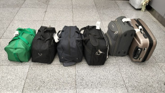 В Самарскую область хотели ввезти 2 тыс партий запрещённых растений