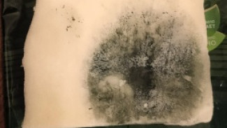 В Самару пришло предупреждение о продаже опасного сыра с плесенью