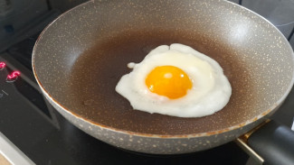 В Самару завезли сибирские яйца