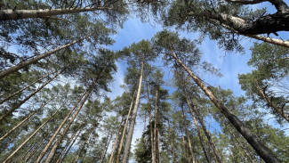 И это не предел: в среду жителей Самарской области ждёт небывалая жара