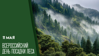 11 мая - Всероссийский день посадки леса: история, традиции и праздничные открытки