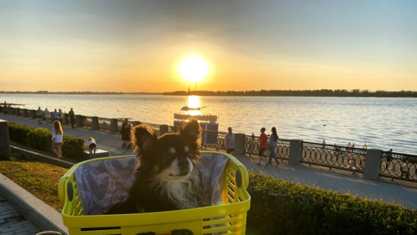 Самарцам рассказали, как не потерять десятки положенных по закону дней отдыха