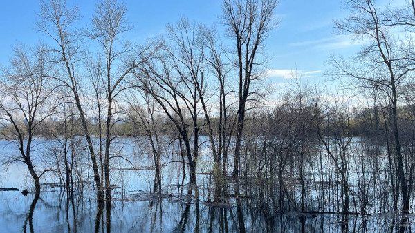 Опубликованы данные о паводковой обстановке в Самарской области на 29 апреля 