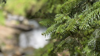 Синоптики рассказали, когда в Самару придет весна 