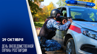 29 октября — День вневедомственной охраны Росгвардии: персональные открытки и традиции праздники