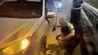 В Самарской области инспекторы спасли женщину от ночёвки на трассе