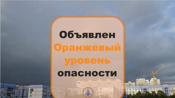 Оранжевый уровень опасности объявлен в Самарской области из-за ветра 27 апреля
