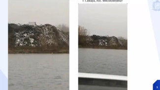 В Самаре собираются спасти от мусорной свалки озеро Монашеское в поселке Мясокомбинат 