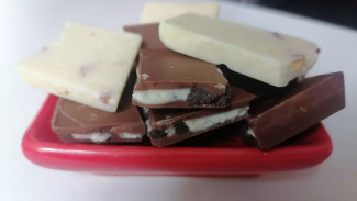 Самарский Роспотребнадзор проверяет информацию о конфетах с личинками и паутиной 