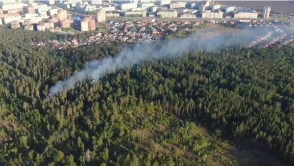 В МЧС заявили о ликвидации лесного пожара в Тольятти