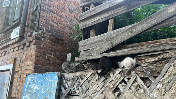 В Самаре непризнанный памятником дом крестьянина Козлова могут снести