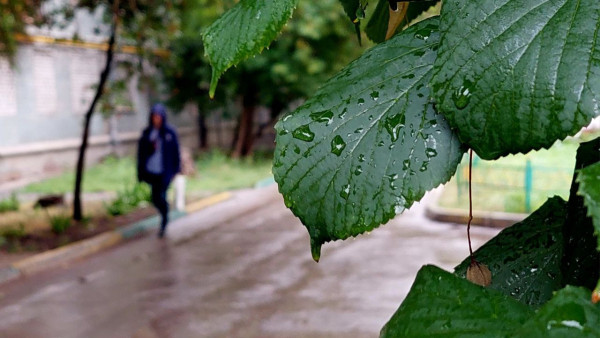 +2°C и дожди: в Самарской области резко ухудшится погода
