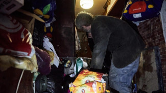 В квартире на Мориса Тореза в Самаре нашли 16 кошек и горы мусора