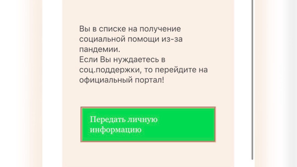 В Самаре появился новый вид электронного мошенничества