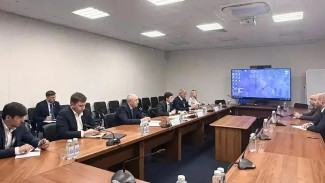 Губернатор Федорищев встретился с гендиректором Фонда развития территорий Купызиным